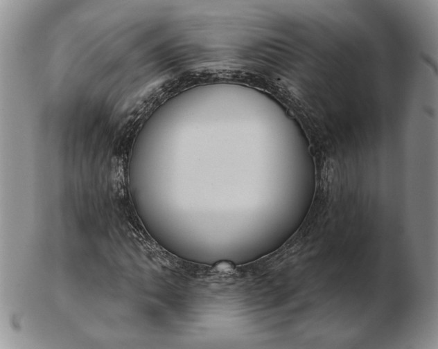 X0000103151062200809051632