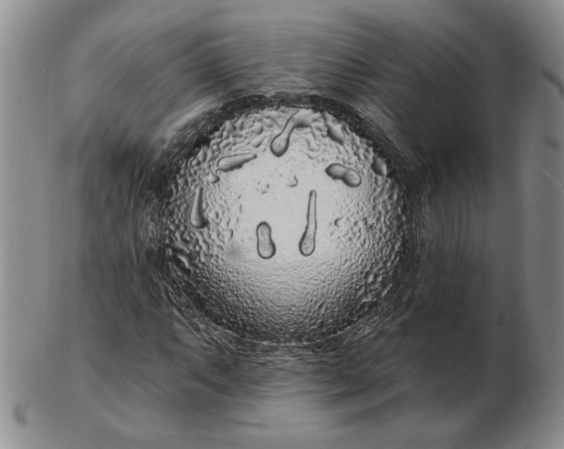 X0000103151063200809051632