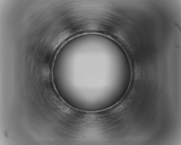 X0000103151065200809051632