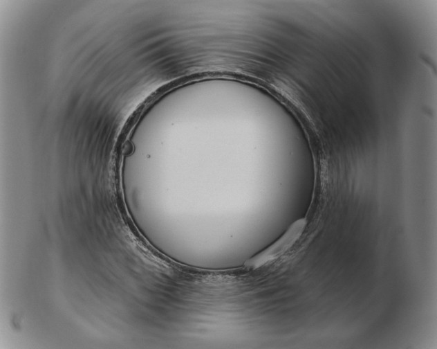 X0000103151068200809051632