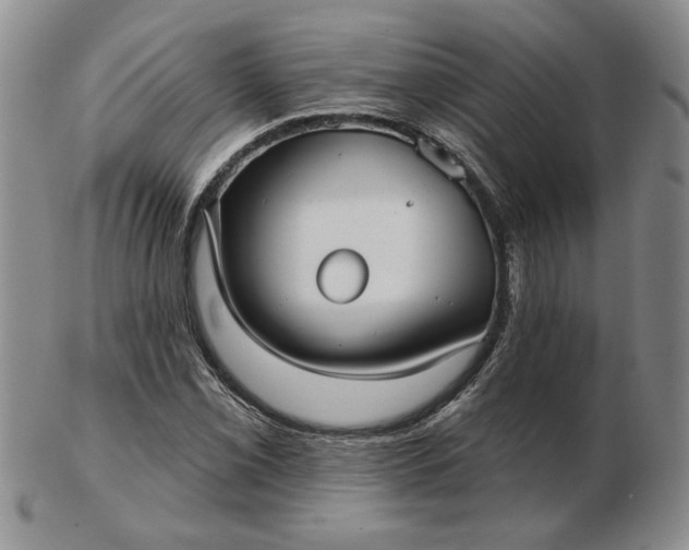 X0000103151069200809051632