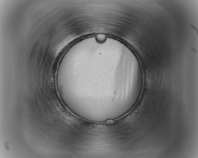 X0000103151070200809051632