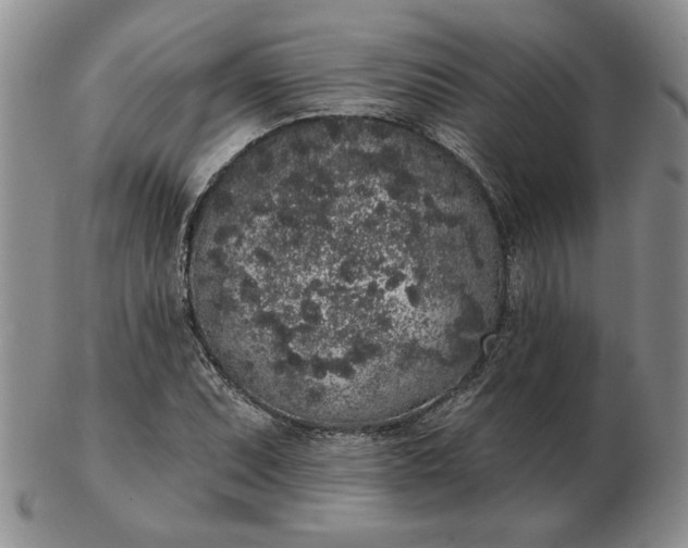 X0000103151071200809051632