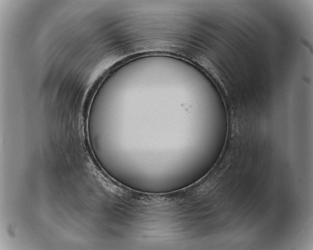 X0000103151072200809051632