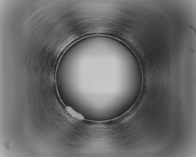 X0000103151073200809051632