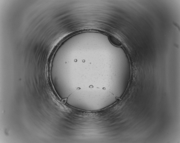 X0000103151076200809051632