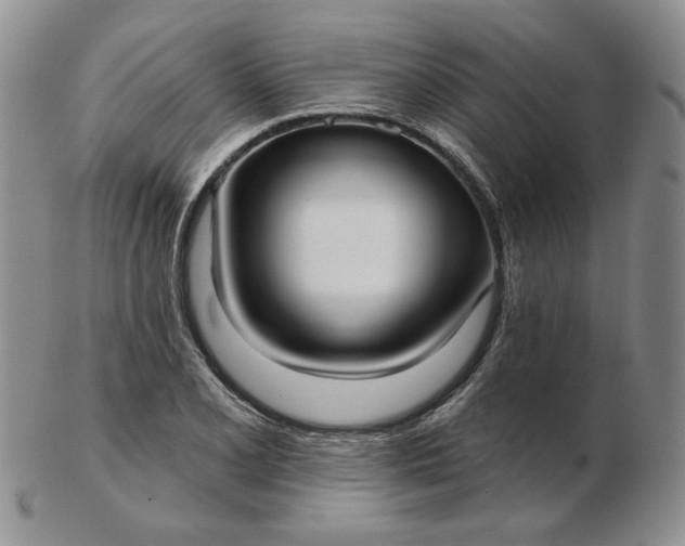 X0000103151077200809051632