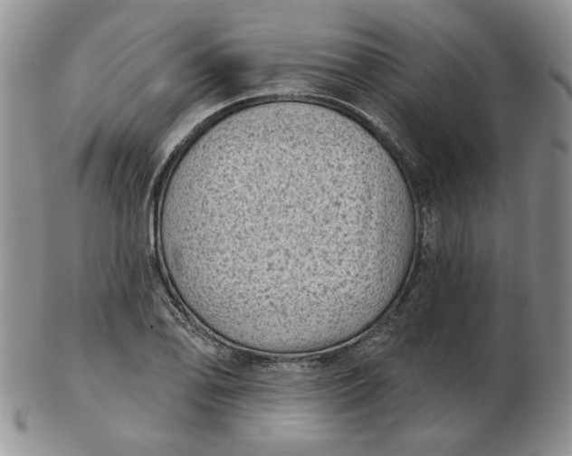 X0000103151078200809051632