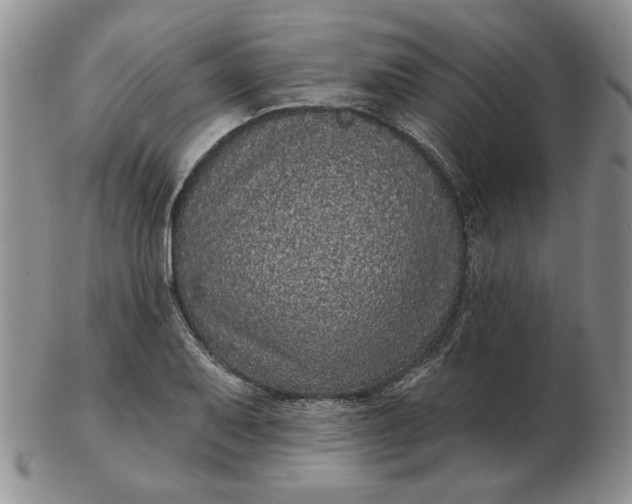 X0000103151079200809051632