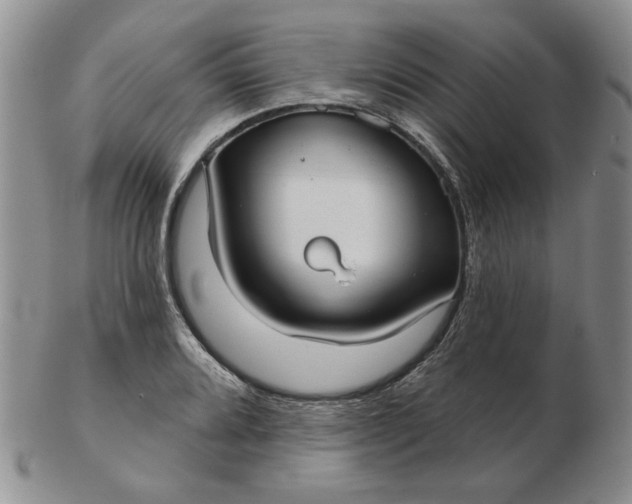 X0000103151080200809051632