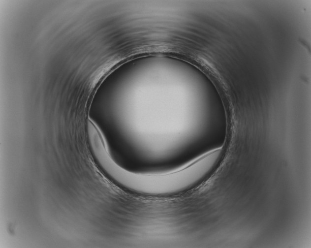 X0000103151081200809051632