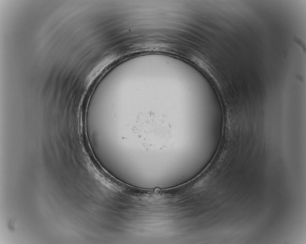 X0000103151082200809051632