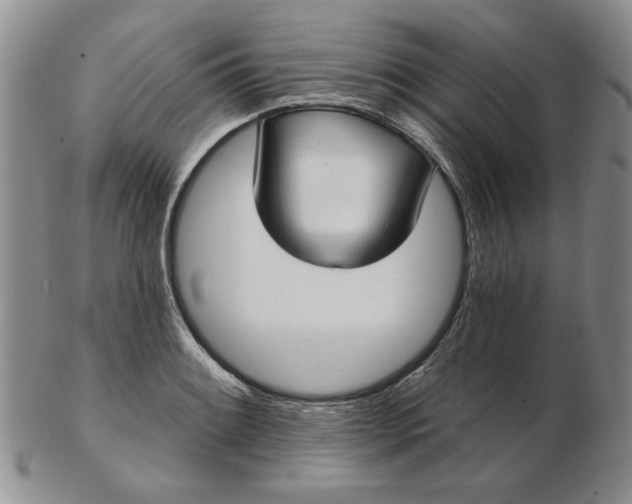 X0000103151084200809051632