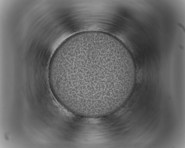 X0000103151086200809051632