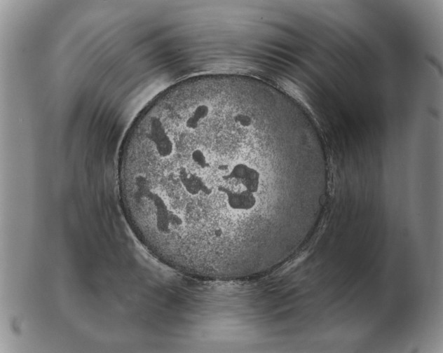 X0000103151087200809051632