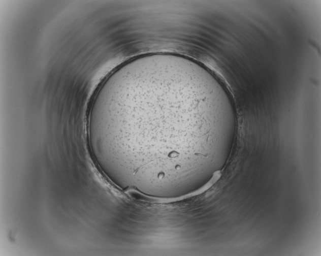 X0000103151088200809051632