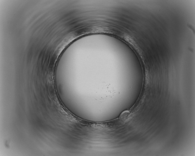 X0000103151089200809051632