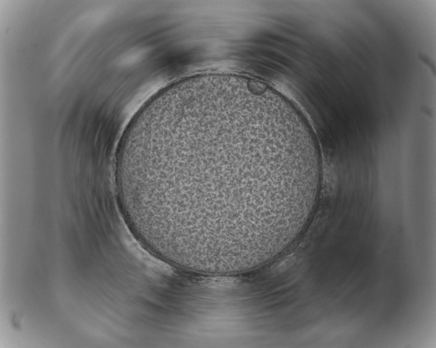 X0000103151090200809051632