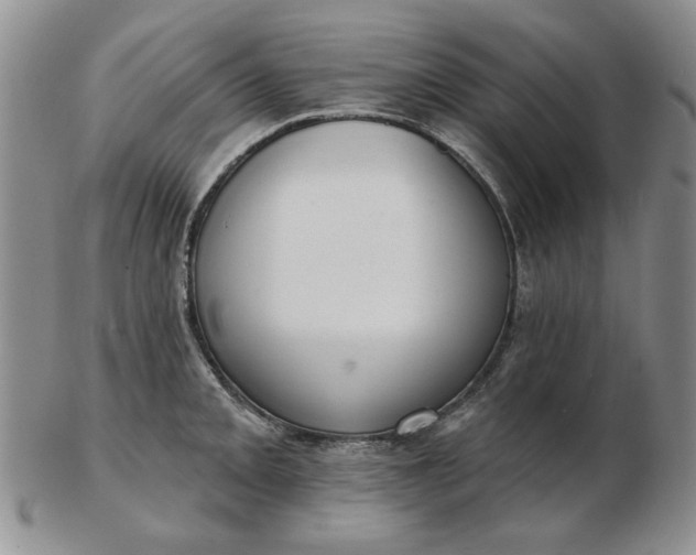 X0000103151093200809051632