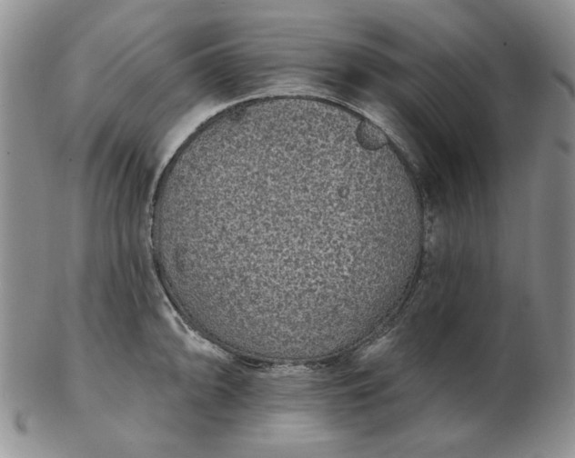 X0000103151094200809051632