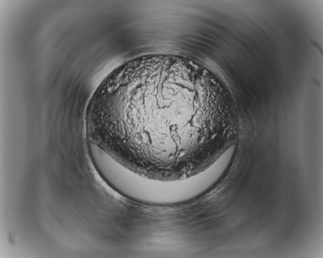 X0000103151095200809051632