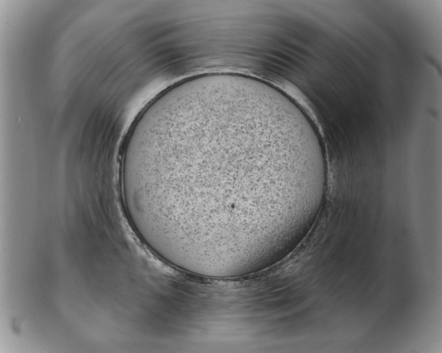 X0000103151096200809051632