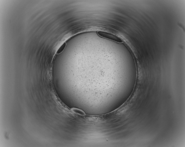 X0000103151097200809051632