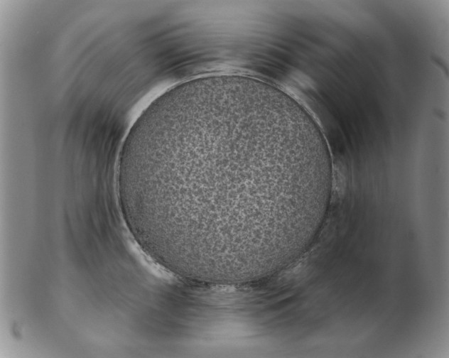 X0000103151098200809051632