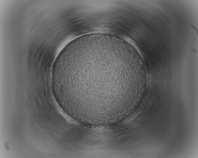 X0000103151099200809051632