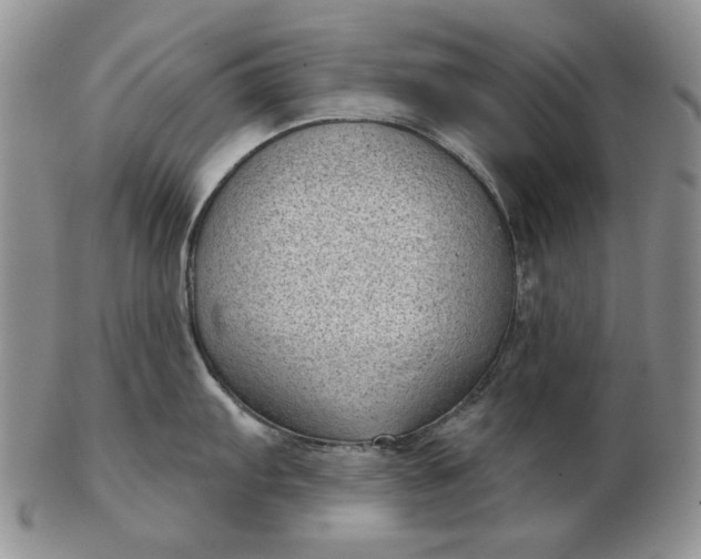 X0000103151103200809051632