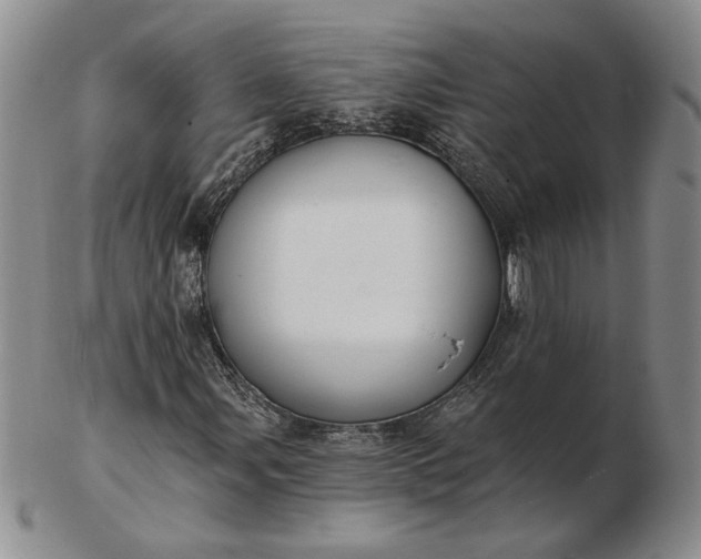 X0000103151107200809051631