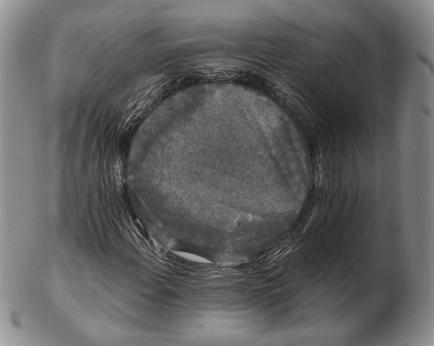 X0000103151108200809051631