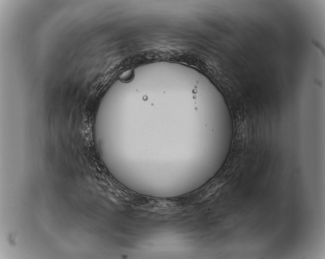 X0000103151109200809051631