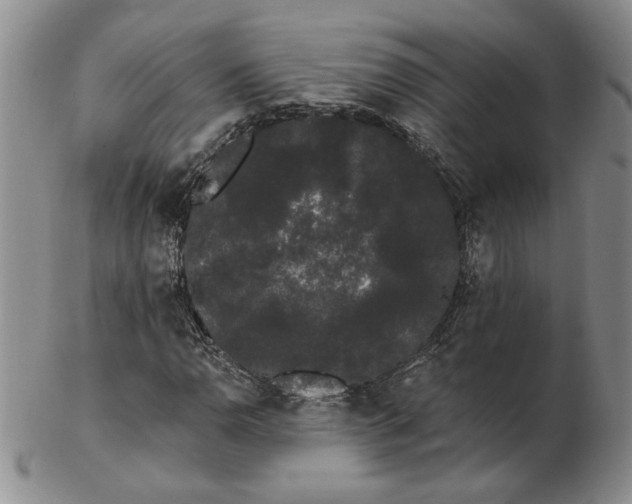 X0000103151110200809051631