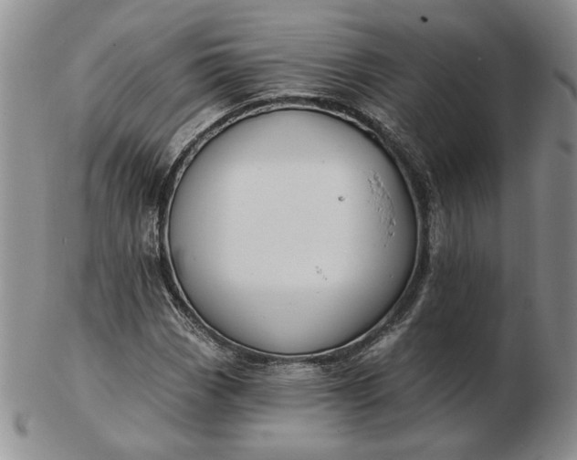 X0000103151113200809051631