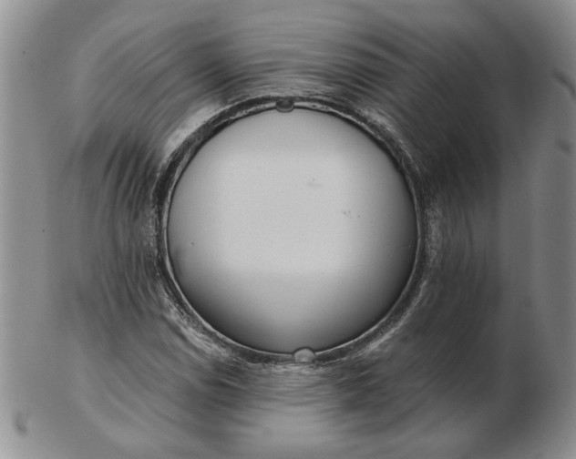 X0000103151114200809051631