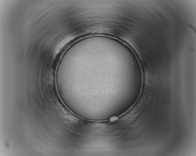 X0000103151115200809051631