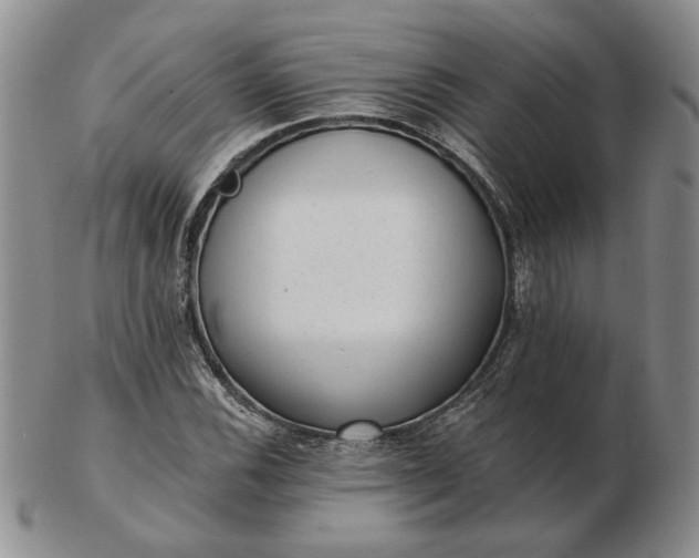 X0000103151116200809051631