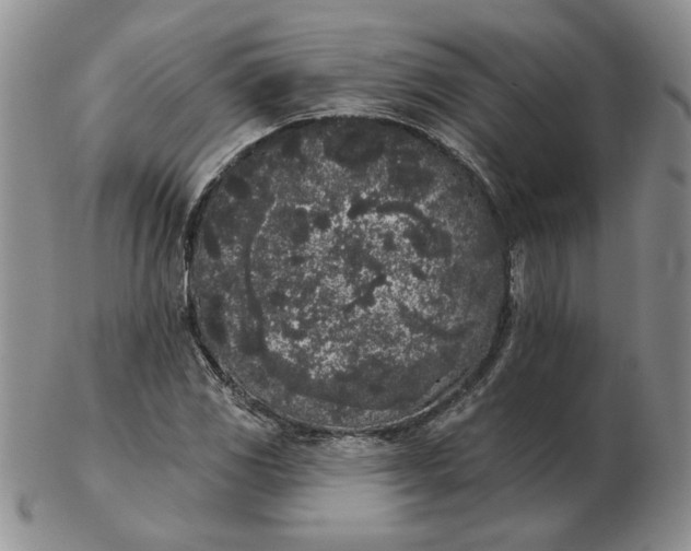 X0000103151117200809051631