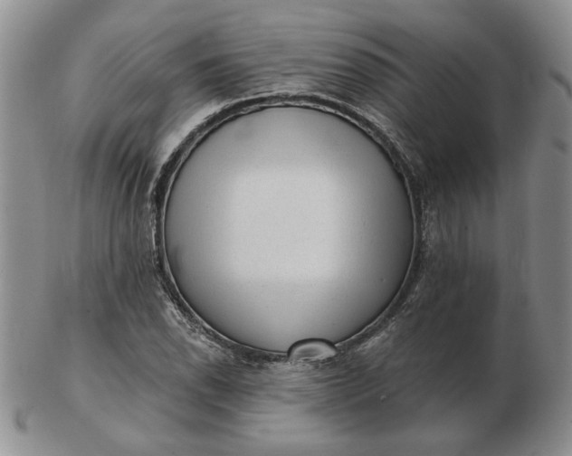 X0000103151118200809051631