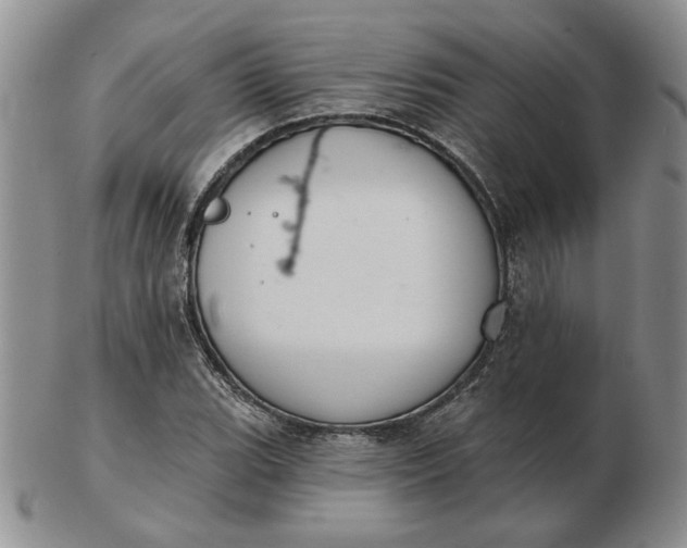 X0000103151119200809051631