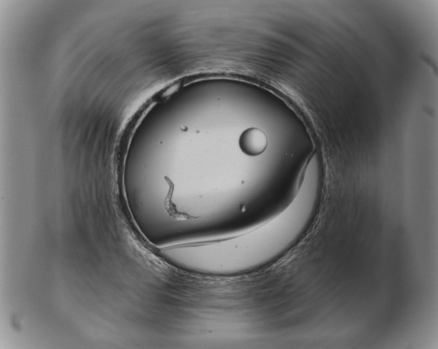 X0000103151120200809051631