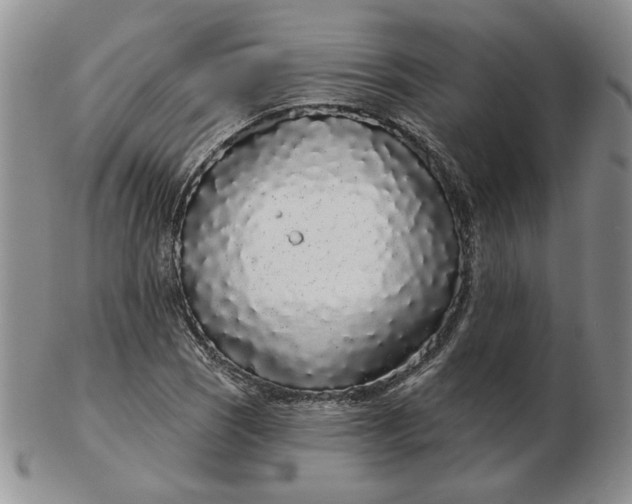 X0000103151121200809051631