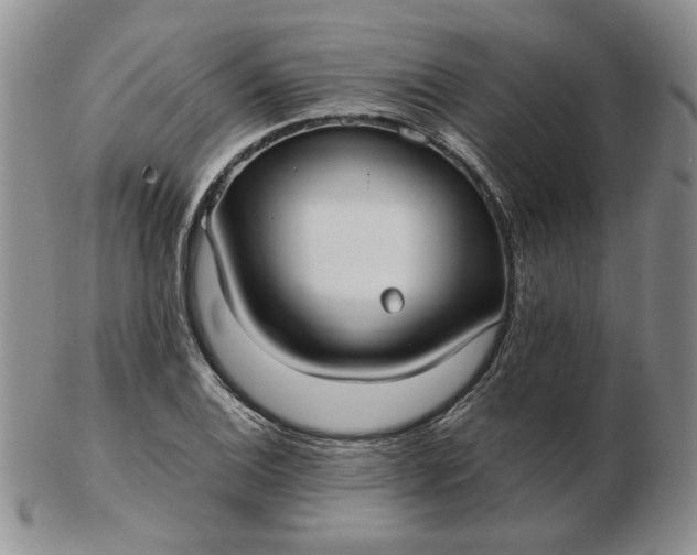 X0000103151124200809051631