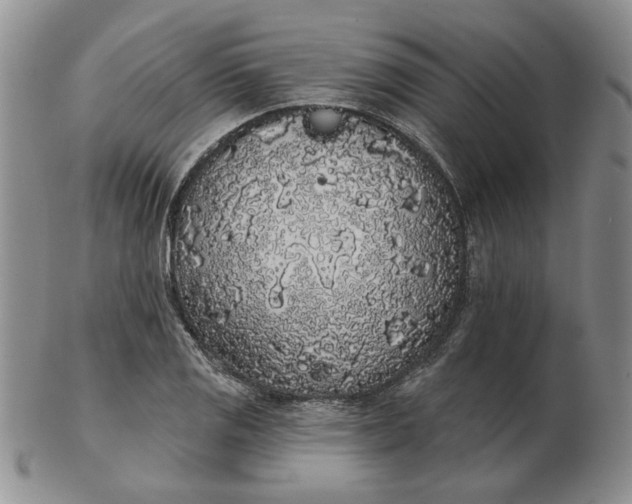 X0000103151125200809051631