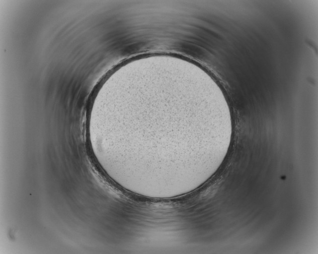 X0000103151126200809051631