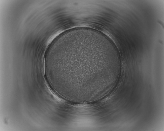 X0000103151127200809051631