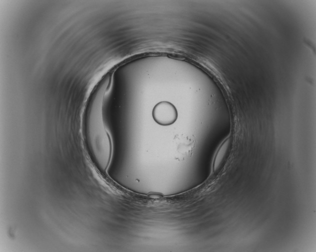 X0000103151128200809051631