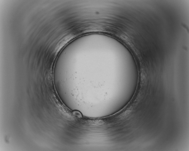 X0000103151129200809051631