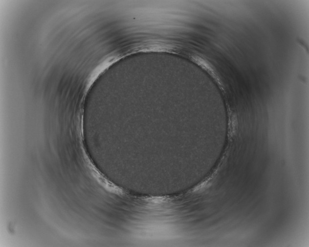 X0000103151130200809051631